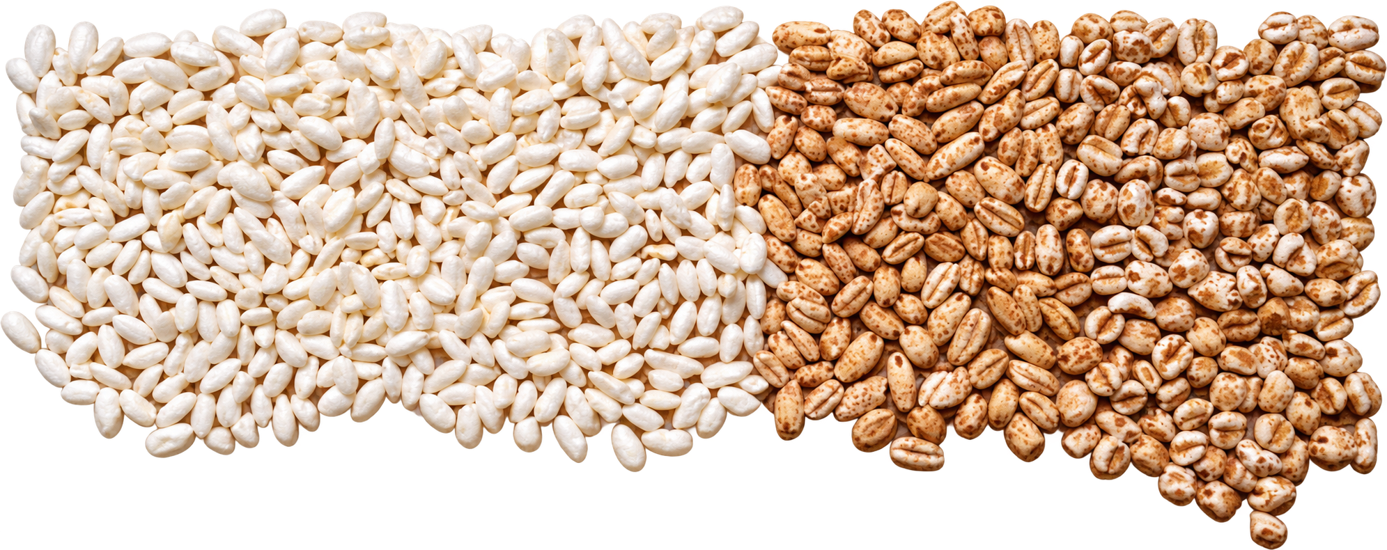 Different puffed cereals processed with GMG machines