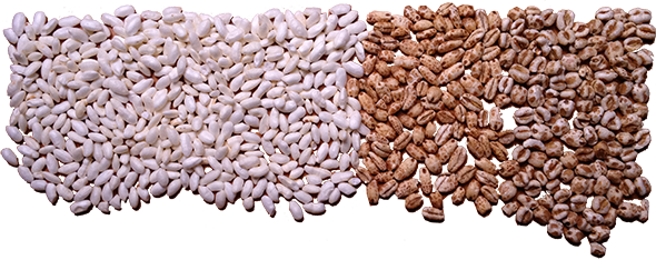 puffed cereals